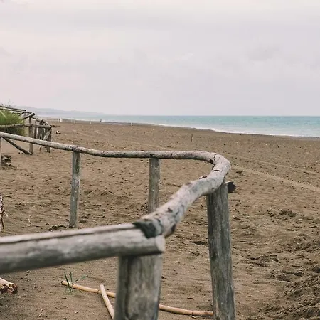 Aia Vecchia * Bibbona